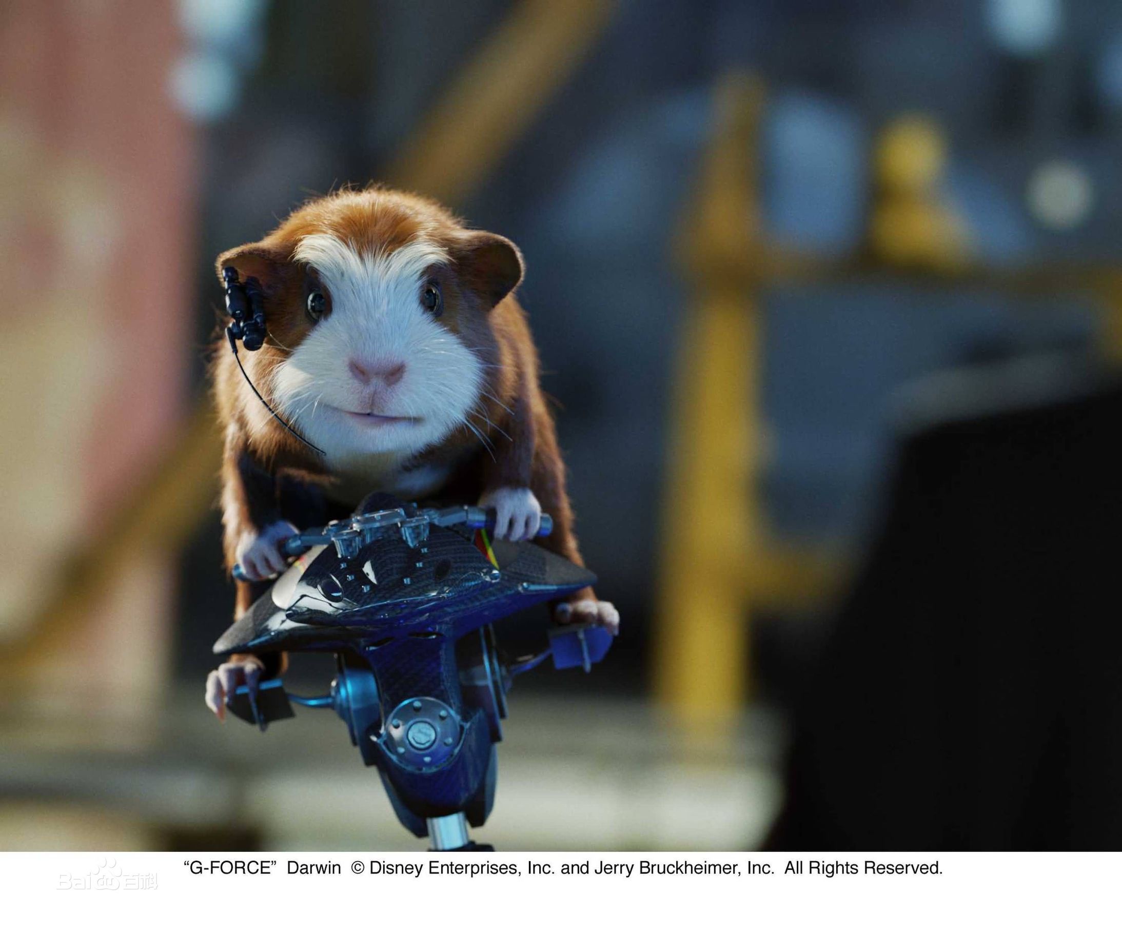 盘点十部感人的动物电影,动物主演的电影