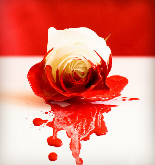 妻子的秘密大结局,妻子的秘密1-37集