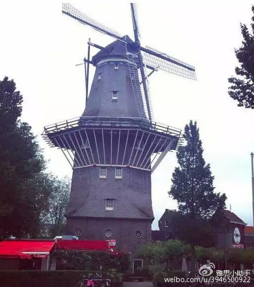 留英小学生归国之路,留英学生出去玩