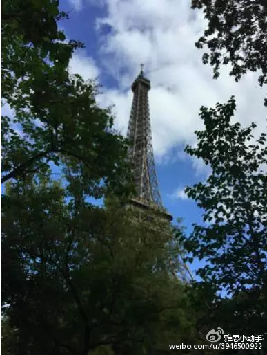 留英小学生归国之路,留英学生出去玩