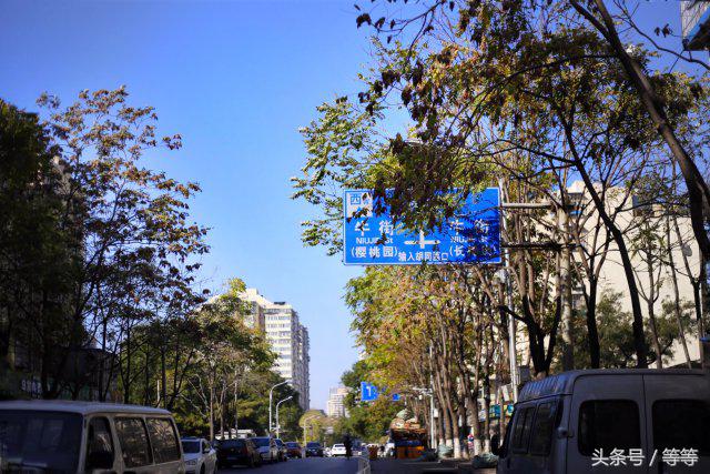 北京宣武牛街小吃一条街地址,北京宣武医院附近的特色小吃