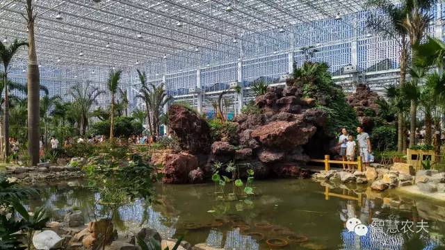 生态餐厅大棚用地,生态餐厅温室大棚配套设施