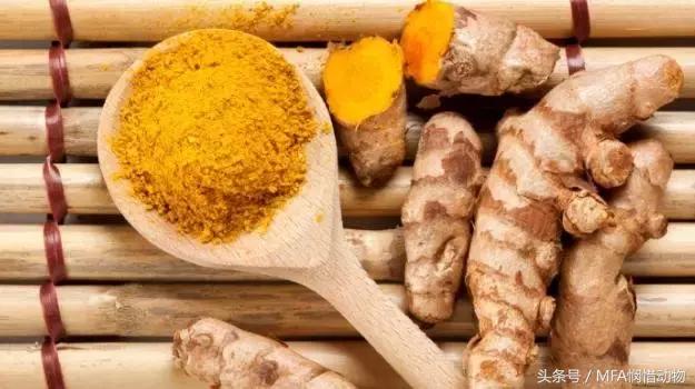 支气管哮喘秋天怎么调理 (季节性哮喘怎么治到秋天就犯病)