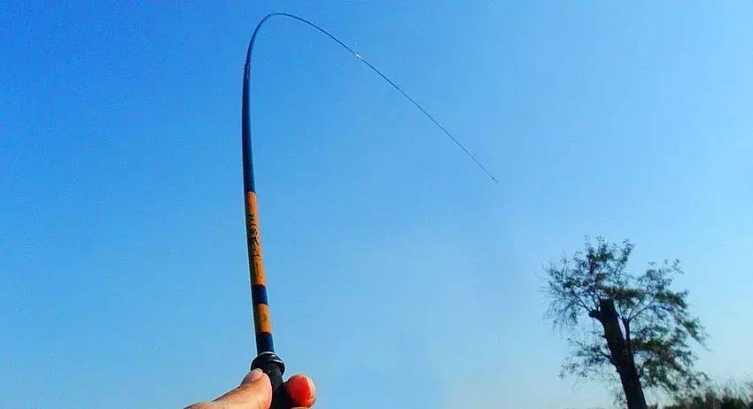 一啸讲堂淡钓一点通之“鱼竿”