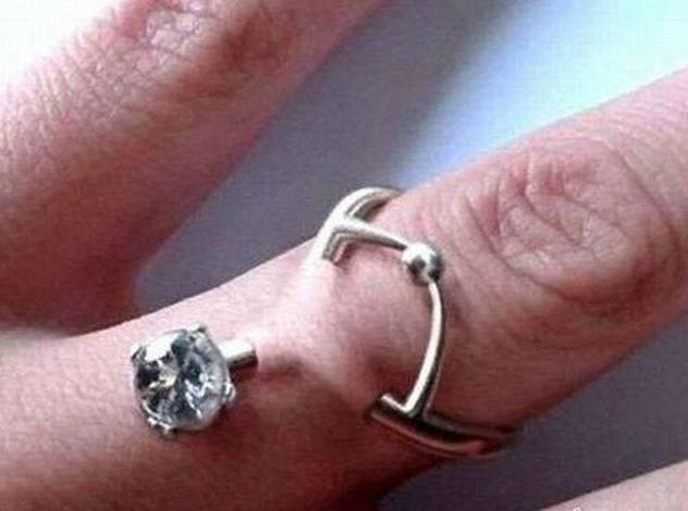 母象带小象过河搞笑,大象带小象搞笑