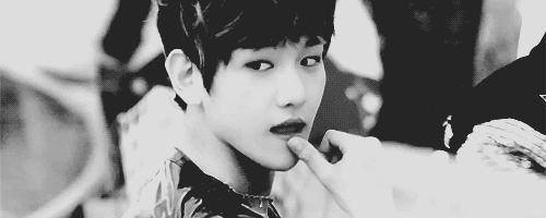 exo你绝对没看过的系列,exo有生之年系列