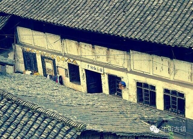 牛街自述,看完再也不嫌弃你了~~~