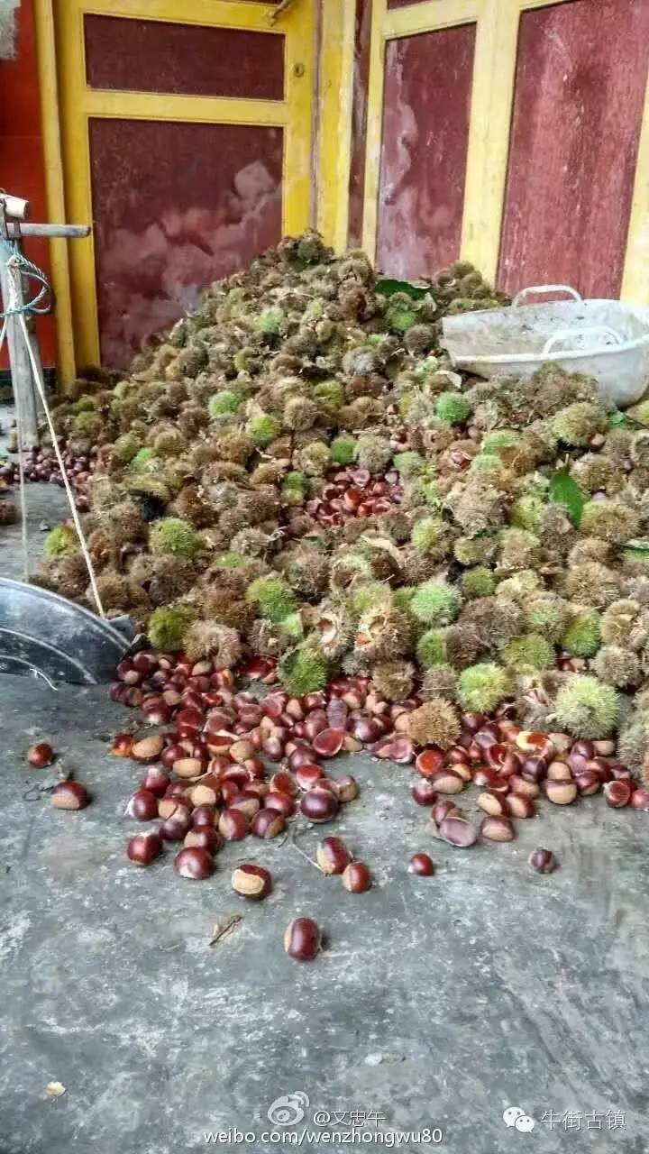 牛街自述,看完再也不嫌弃你了~~~