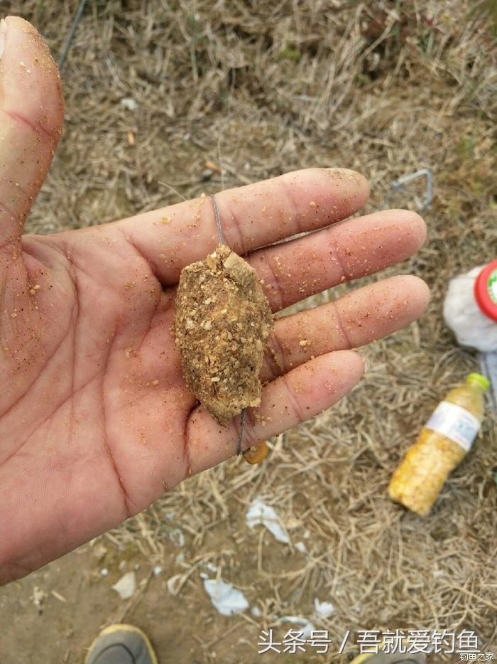 假休十月翻板初试失利恶犬护塘渔获数爆炸饵