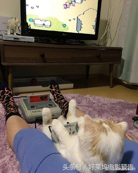 行尸走肉7季1-5解说,行尸走肉第七季主角团怎么样了