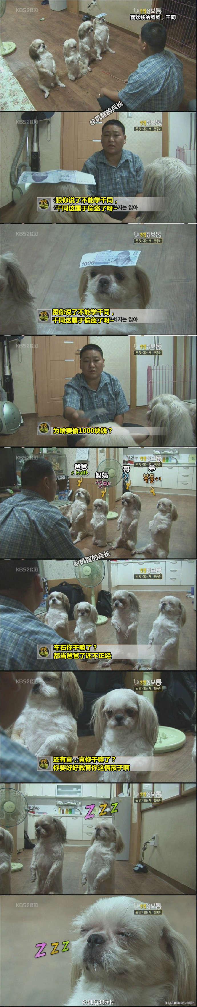 行尸走肉7季1-5解说,行尸走肉第七季主角团怎么样了