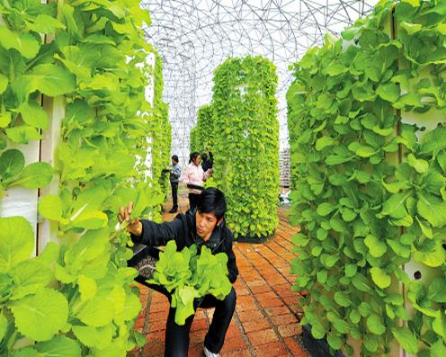 想在农村干点生意,农村创业到底该怎么做