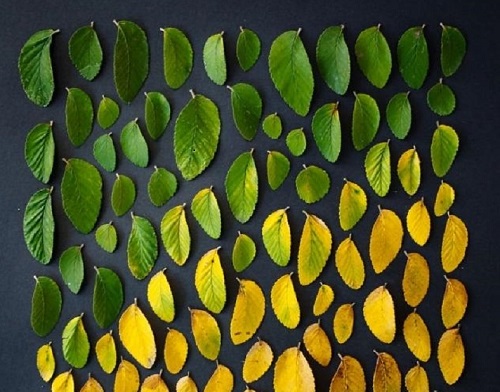 强迫症是什么感觉,强迫症是什么因果