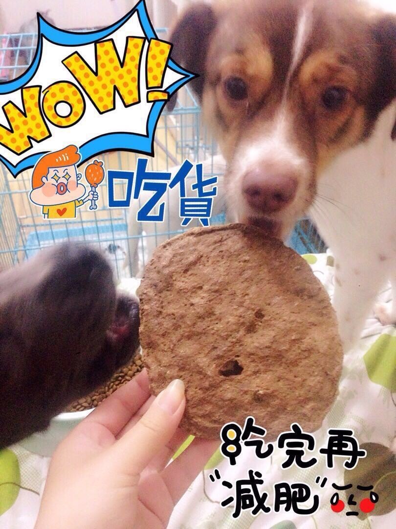 56个中美铲屎官每月花费,对,我就是这么变穷的