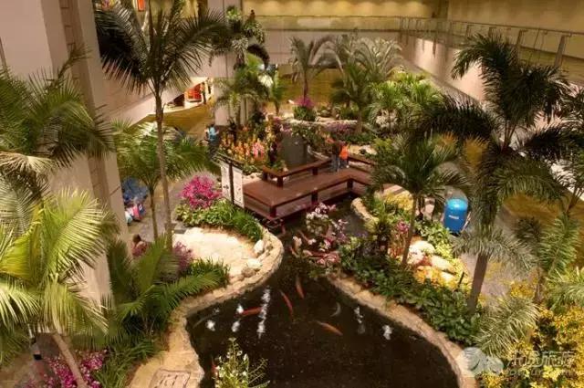 新加坡樟宜国际机场值得买什么,新加坡樟宜机场逛吃买攻略