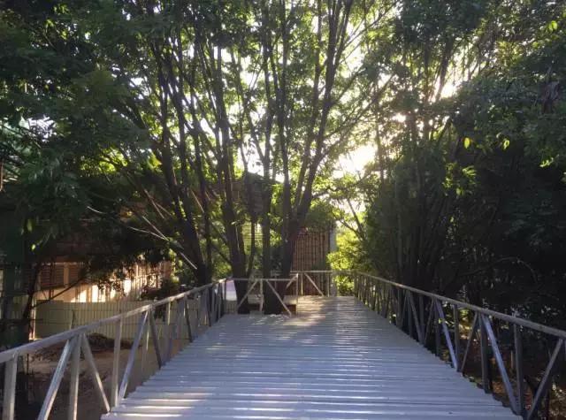 最新厦门哪里最好玩,厦门最有特色的地方