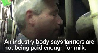 英国牛奶价格,英国的牛奶为什么便宜