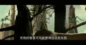 近期网上能看的十部好片,强烈推荐这几部必看的好片