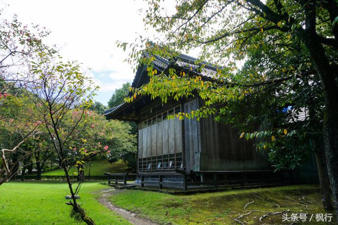 酷ma萌陪伴机器人熊本熊,酷ma萌和熊本熊