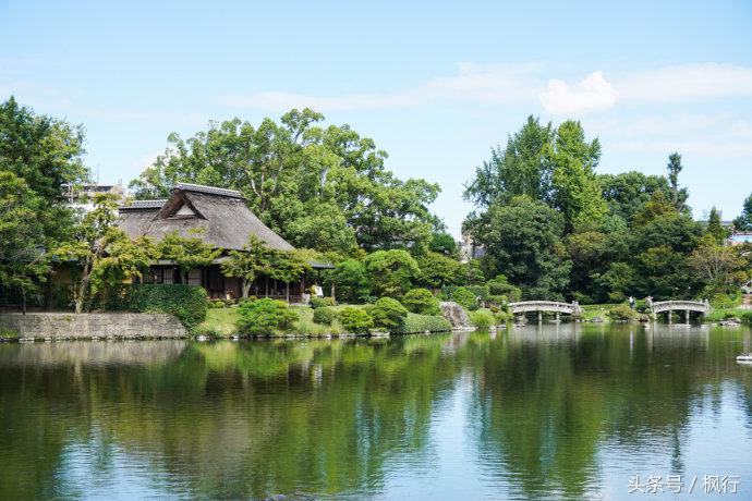酷ma萌陪伴机器人熊本熊,酷ma萌和熊本熊