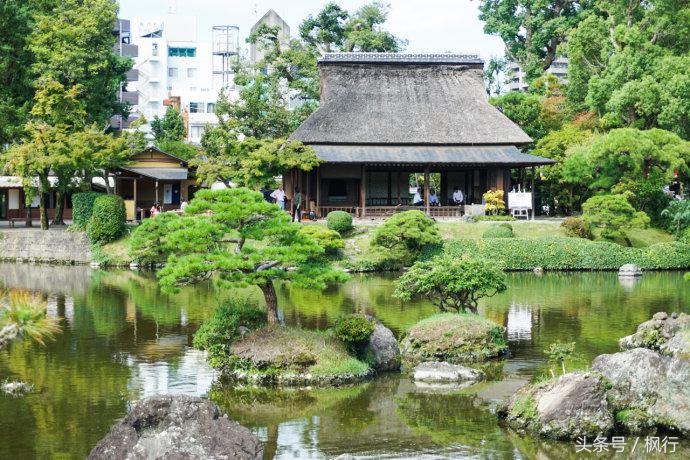 酷ma萌陪伴机器人熊本熊,酷ma萌和熊本熊