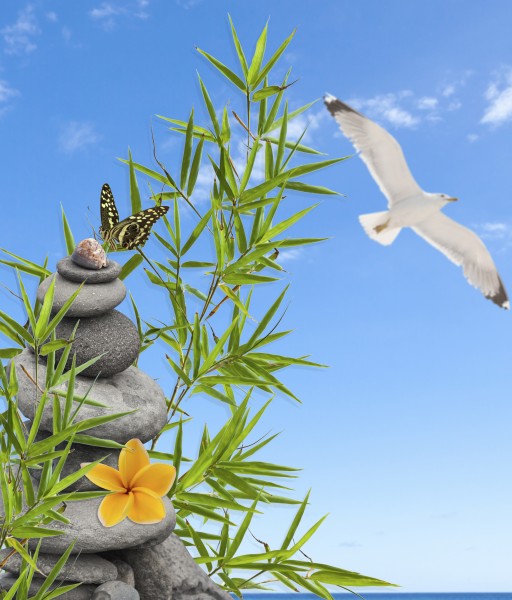 北大经院金融硕士考研参考书目,广东技术师范大学考研参考书目