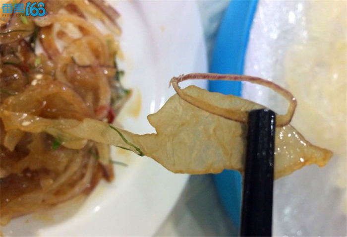 广州番禺一家地道的鱼生专门店,番禺吃鱼生哪家强