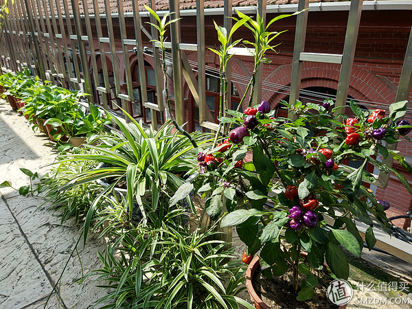 黑科技有多厉害,黑科技到底有多强