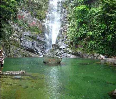 如果经历过这些事，恭喜你！你绝对是一名地道的肇庆人！