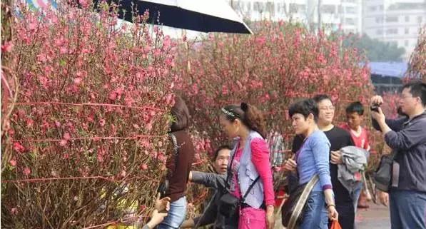 如果经历过这些事，恭喜你！你绝对是一名地道的肇庆人！