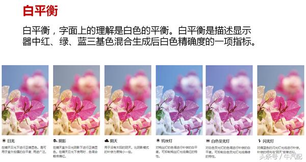 几个小技巧教你把妹子拍得更好看,阴天辣妹拍照技巧教程