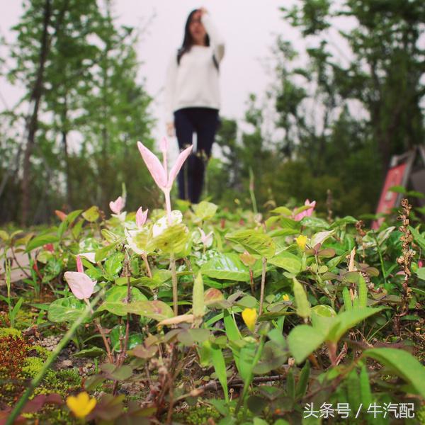 几个小技巧教你把妹子拍得更好看,阴天辣妹拍照技巧教程