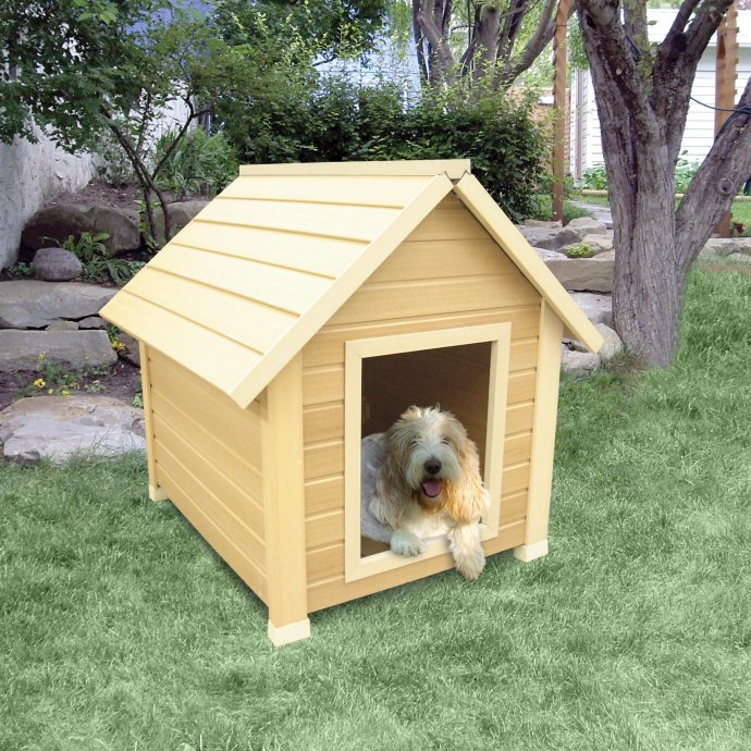 如何照顾女生,如何照顾生病的老人