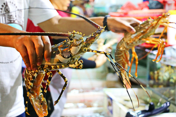 三亚最美的地方在哪里,三亚世界上最美的海在哪里