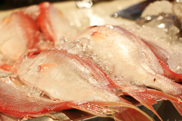 三亚最美的地方在哪里,三亚世界上最美的海在哪里