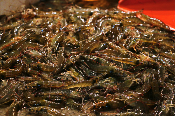 三亚最美的地方在哪里,三亚世界上最美的海在哪里