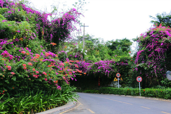 三亚最美的地方在哪里,三亚世界上最美的海在哪里