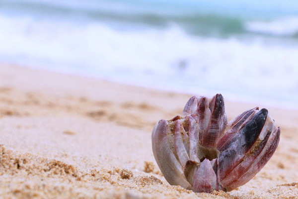 三亚最美的地方在哪里,三亚世界上最美的海在哪里