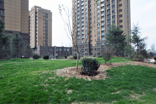 大胡回迁安置区芳容初露星光“丽都系”品质再现