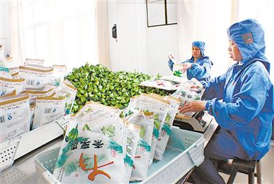 未来农业五大投资,哪位大神有投资经验