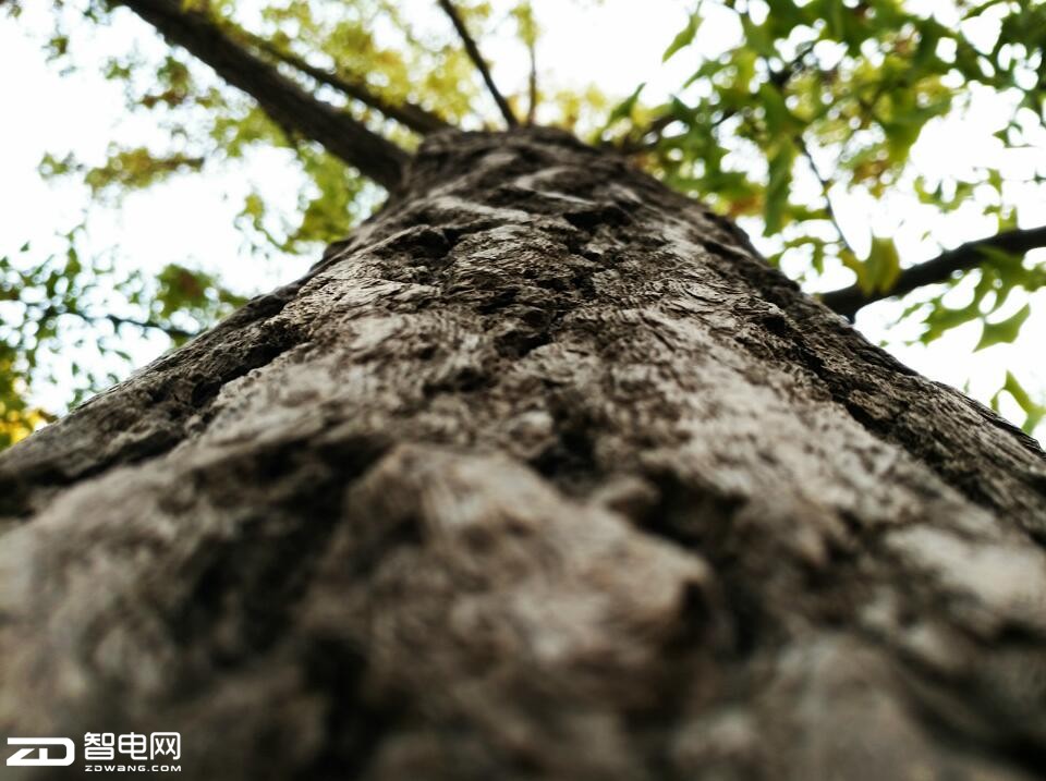 快充拍照好的手机,oppor9s拍照视频评测