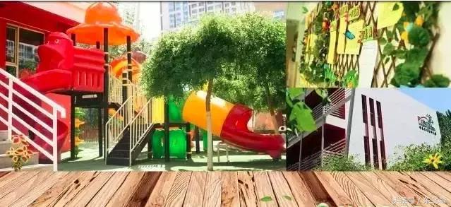 中国500强幼儿园排名,中国最佳幼儿园排名榜