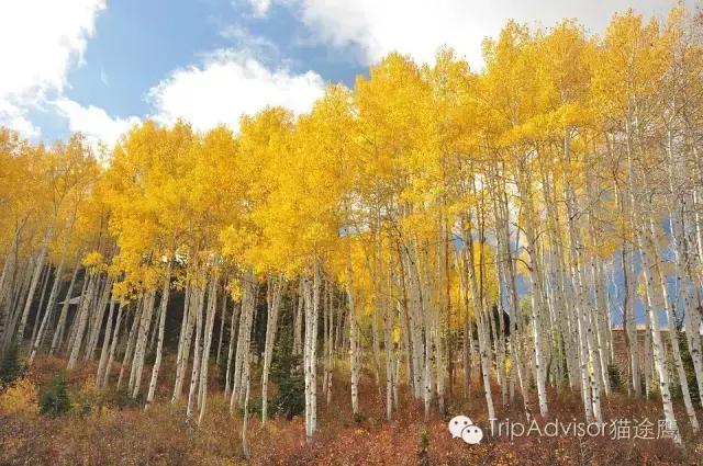 收藏打卡！深入了解战斗民族另一面的45种体验