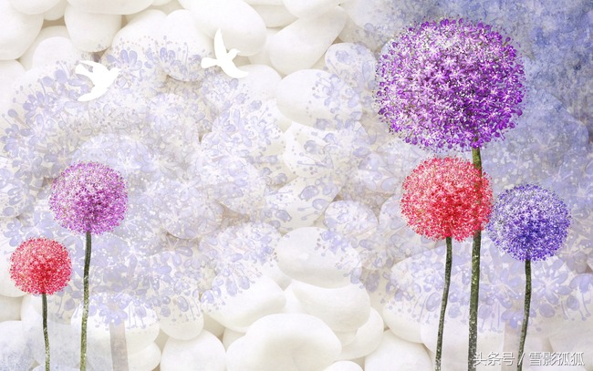 紫色烟花易冷的抖音,紫色烟花凝墨