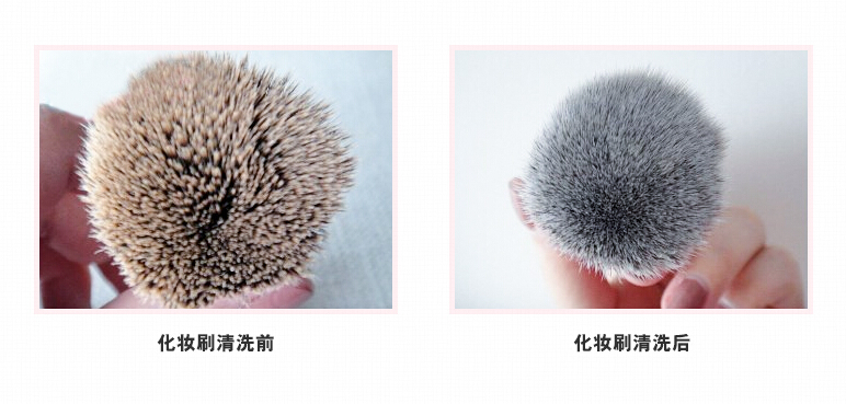 你的粉扑就是一个细菌繁殖基地