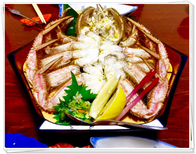 初秋日本快步东京，慢行北海道，泡汤美食8日