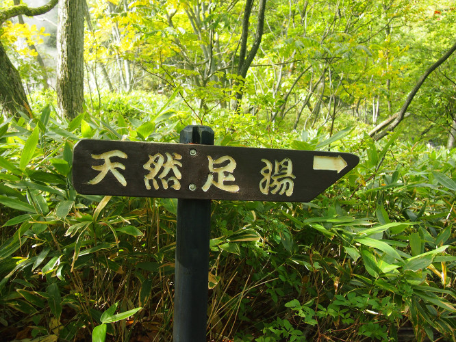 初秋日本快步东京，慢行北海道，泡汤美食8日