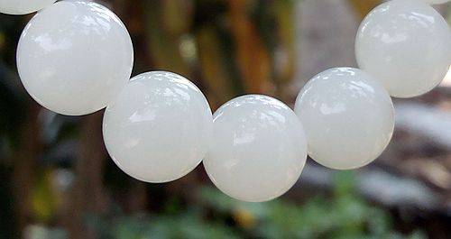 砗磲的基本知识,正确保养砗磲的方法