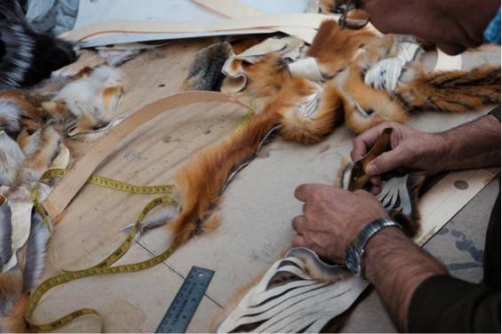 普京深蓝色大衣,普京的大衣