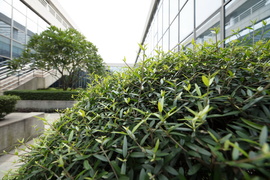 佳能16-35mmF2.8III镜头评测：9年换代值得等